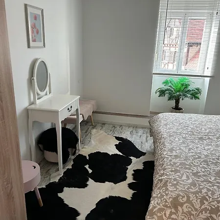 Lägenhet Chez Willi Niederschaeffolsheim