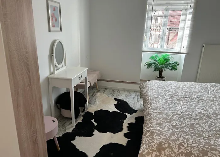 Apartment Chez Willi Niederschaeffolsheim