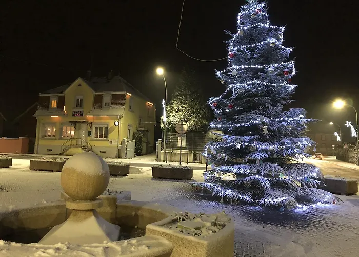 Chez Willi * Niederschaeffolsheim